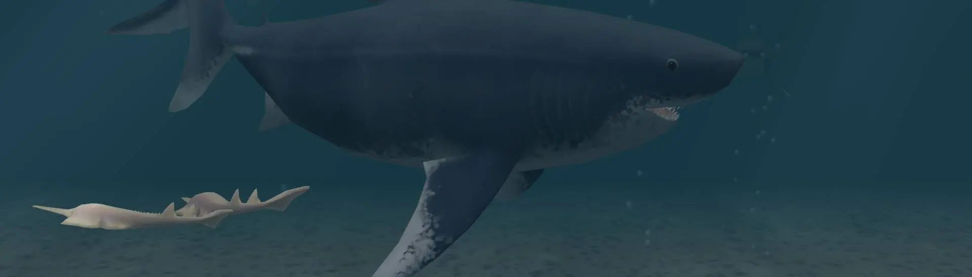 放送大学 割引 at Species) (New megalodon Otodus Zoo Mods - Nexus 2 Tycoon ディスプレイ・モニター本体