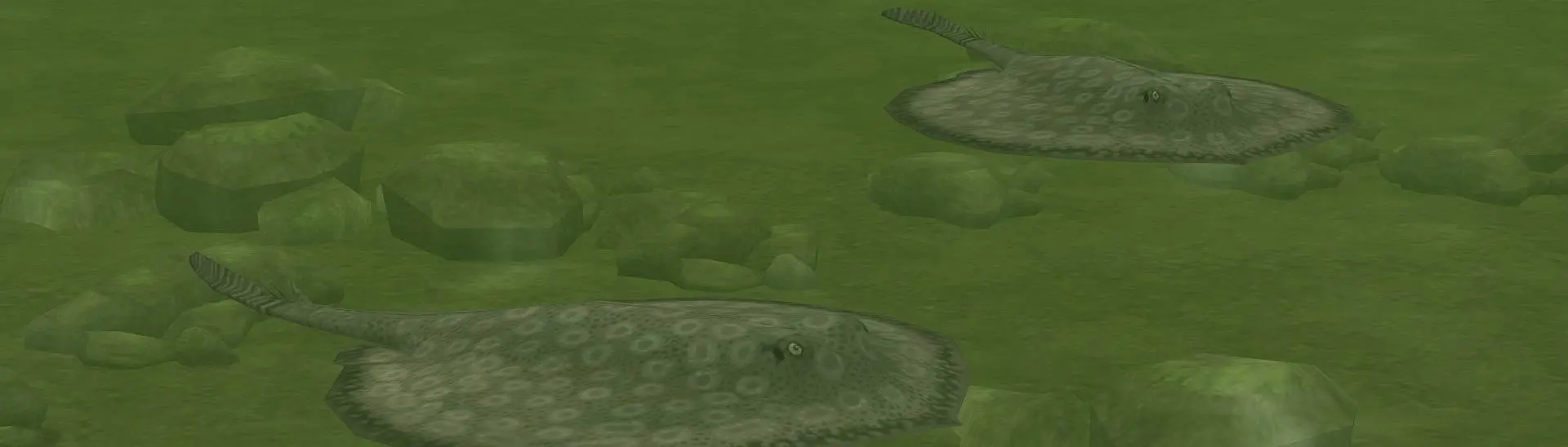 Asterotrygon (New Species) at Zoo Tycoon 2 Nexus - Mods and community