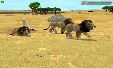 Three new variants for males and females