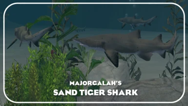 Sand Tiger Shark (New Species) - Oceanic