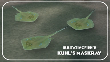 Kuhl's Maskray (New Placeable Ambient)