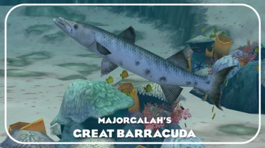 Great Barracuda (New Species) - Oceanic