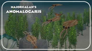 Anomalocaris (New Species) - Oceanic