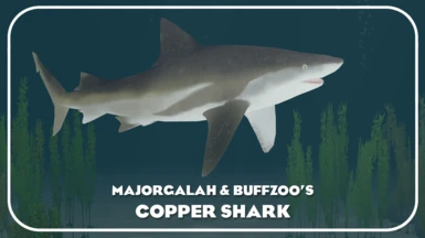 Copper Shark (New Species) - Oceanic