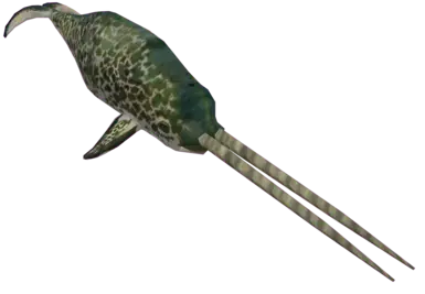 Double-tusked_Narwhal 2006 Icons Not Unused Model render called a.k.a Narwhal_Adult_M2.nif From Nifskope.png