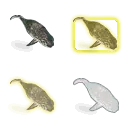 Narwhal_Adult_F_icon.dds