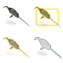 Narwhal_Adult_M_icon.dds