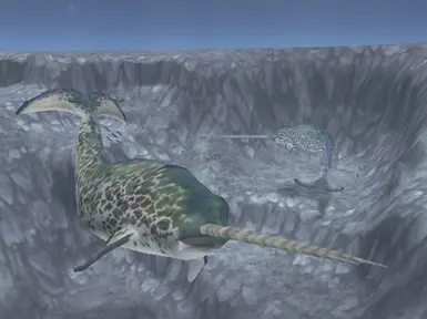 Bonus screen Image Narwhal.jpg