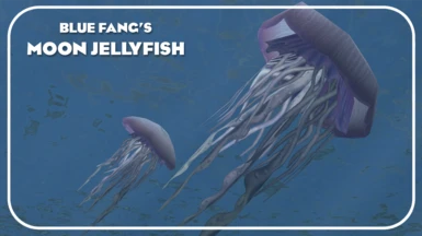 Moon jellyfish (New Species)