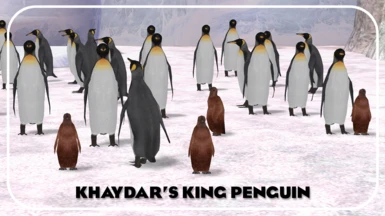 King Penguin (New Species)