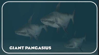 Giant Pangasius (New Species)