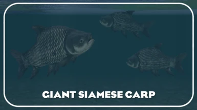 Giant Carp (New Species)