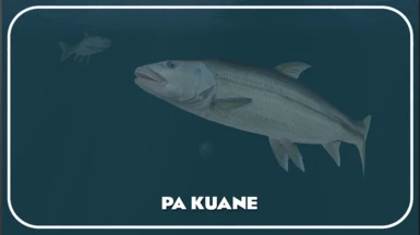 Pa Kuane (New Species)