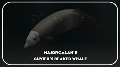 Cuvier's Beaked Whale (New Species)