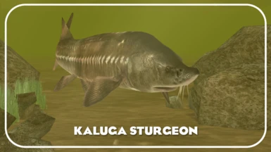 Kaluga Sturgeon (New Species) - Realistic
