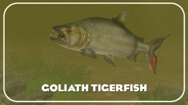 Goliath Tigerfish (New Species) - Realistic