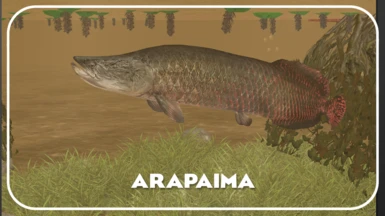 Arapaima (New Species)- Realistic