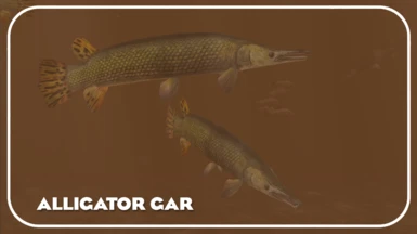 Alligator Gar (New Species)- Realistic