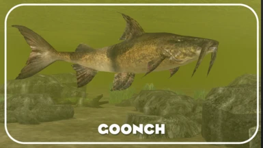 Goonch (New Species) - Realistic