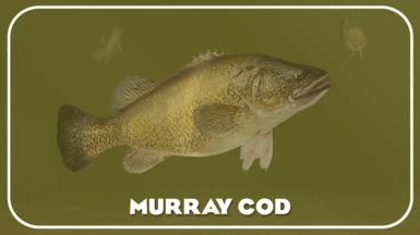 Murray Cod (New Species)
