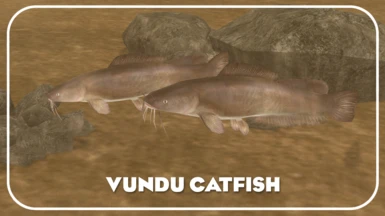Vundu Catfish (New Species) - Realistic