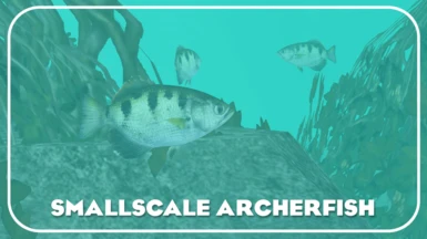 Smallscale Archerfish (New Ambient)