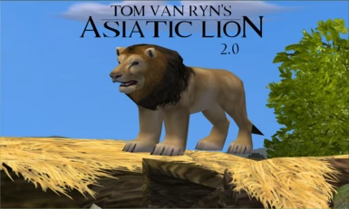 Asiatic Lion 2.0