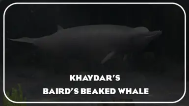 Khaydar's Baird Beaked Whale (New Species)