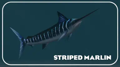 Striped Marlin Remake (New Species)