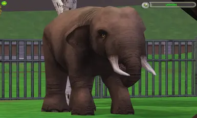 Asian Elephant Remake