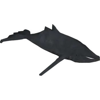 Giglioli's Whale Render