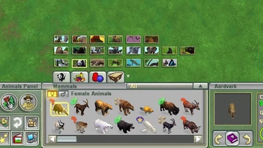 Animal Classification tab set