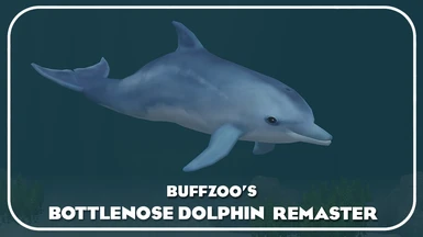 Bottlenose Dolphin (Remaster)