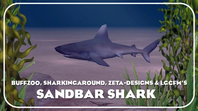 Sandbar Shark (New Species)