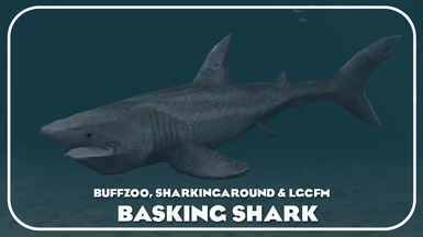 Basking Shark (New Species)