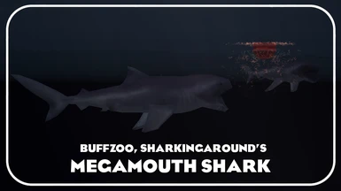 Megamouth Shark (New Species)