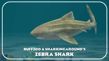 Zebra Shark (New Species)