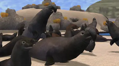 Northern Elephant Seal (New Species) at Zoo Tycoon 2 Nexus - Mods and