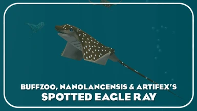 Spotted Eagle Ray (New Species)