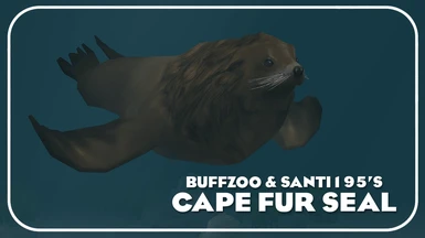 Cape Fur Seal (New species)
