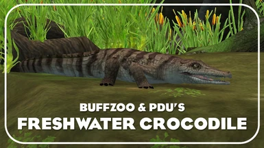 Freshwater Crocodile (New Species)