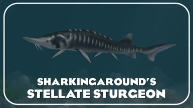Stellate Sturgeon (New Species)