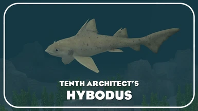 Hybodus (New Species)