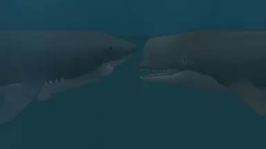 Otodus megalodon (New Species) at Zoo Tycoon 2 Nexus - Mods