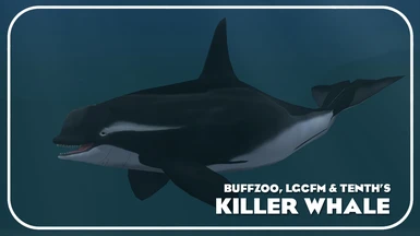 Killer Whale (New Species)