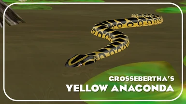 Yellow Anaconda (New Species)