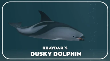 Dusky Dolphin (New Species)