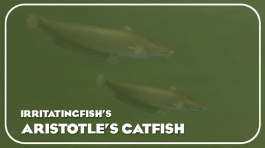 Aristotle's Catfish (New Species)
