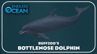 Bottlenose Dolphin (New Species)