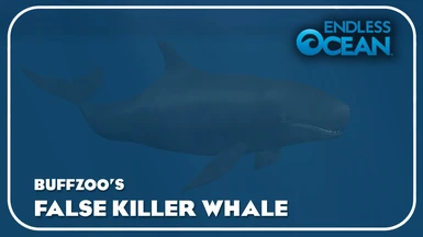 False Killer Whale (New Species)